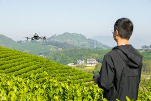 survey-kebun-teh-dji-mavic-3-multispectral-nuansa-gis