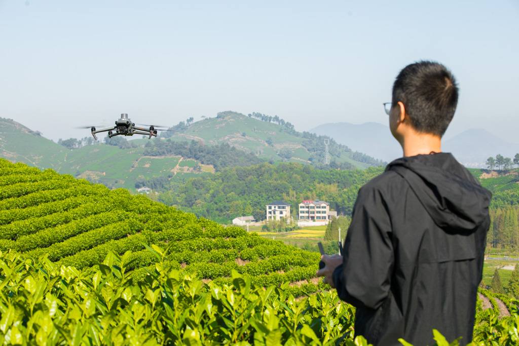survey-kebun-teh-dji-mavic-3-multispectral-nuansa-gis